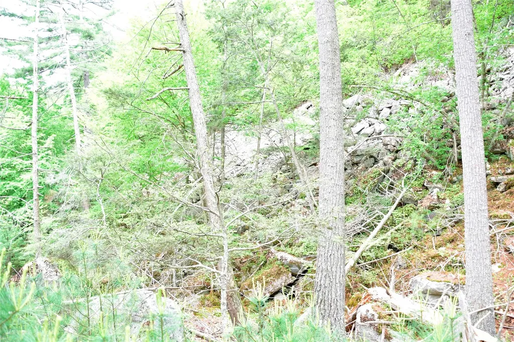 N Mountain Road Gardiner NY