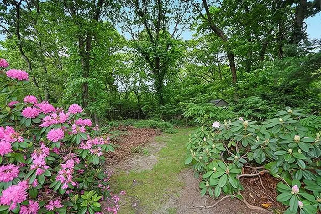 14 Belmont Drive Smithtown NY 11787