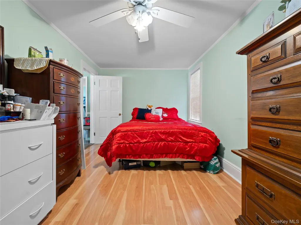 8 Savoy Avenue Elmont NY 11003