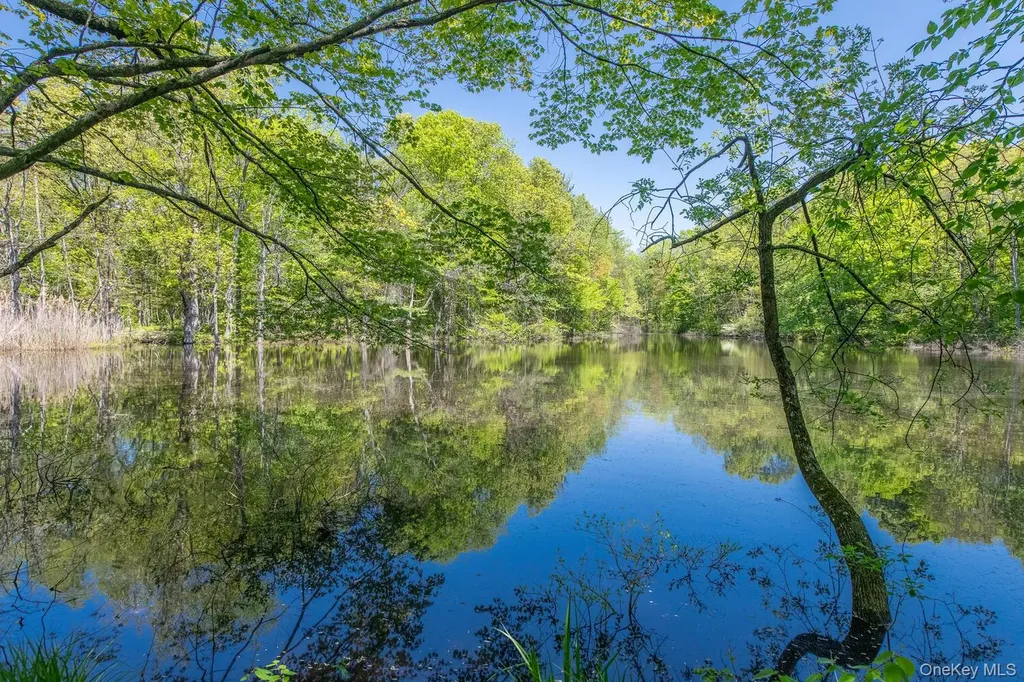 33 Pells Road Rhinebeck NY 12572