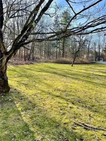 296 Route 82 Hopewell Junction NY 12533