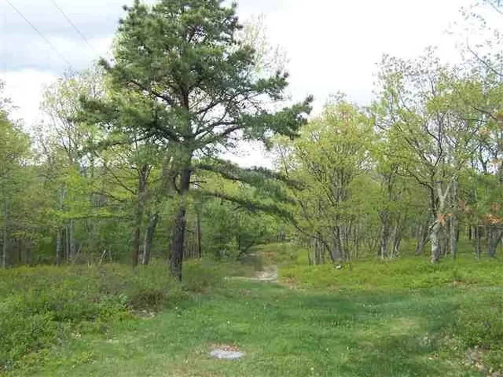 New Road Wurtsboro NY 12790