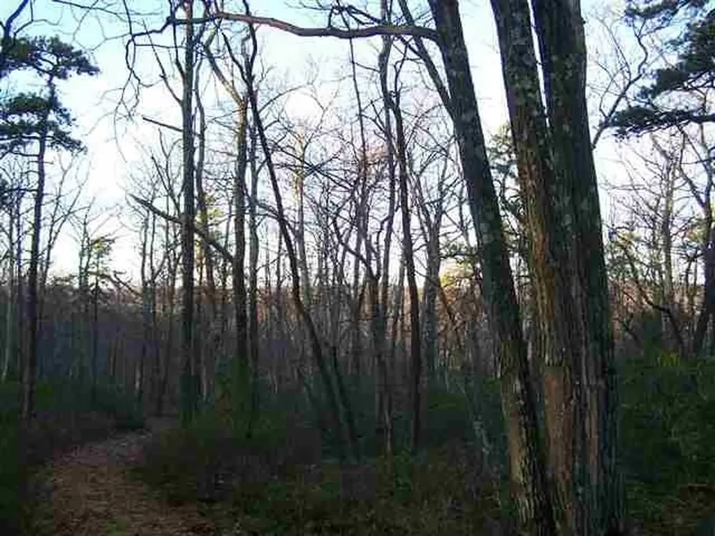 New Road Wurtsboro NY 12790