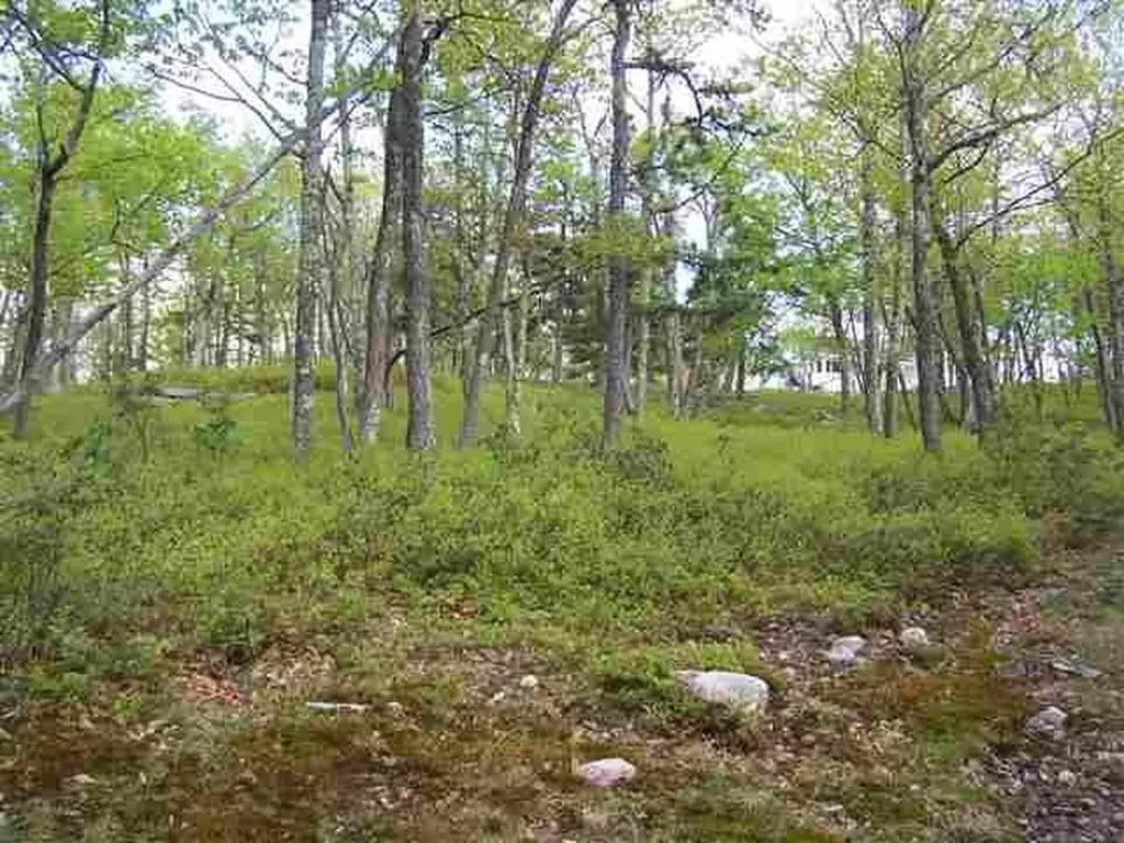 New Road Wurtsboro NY 12790