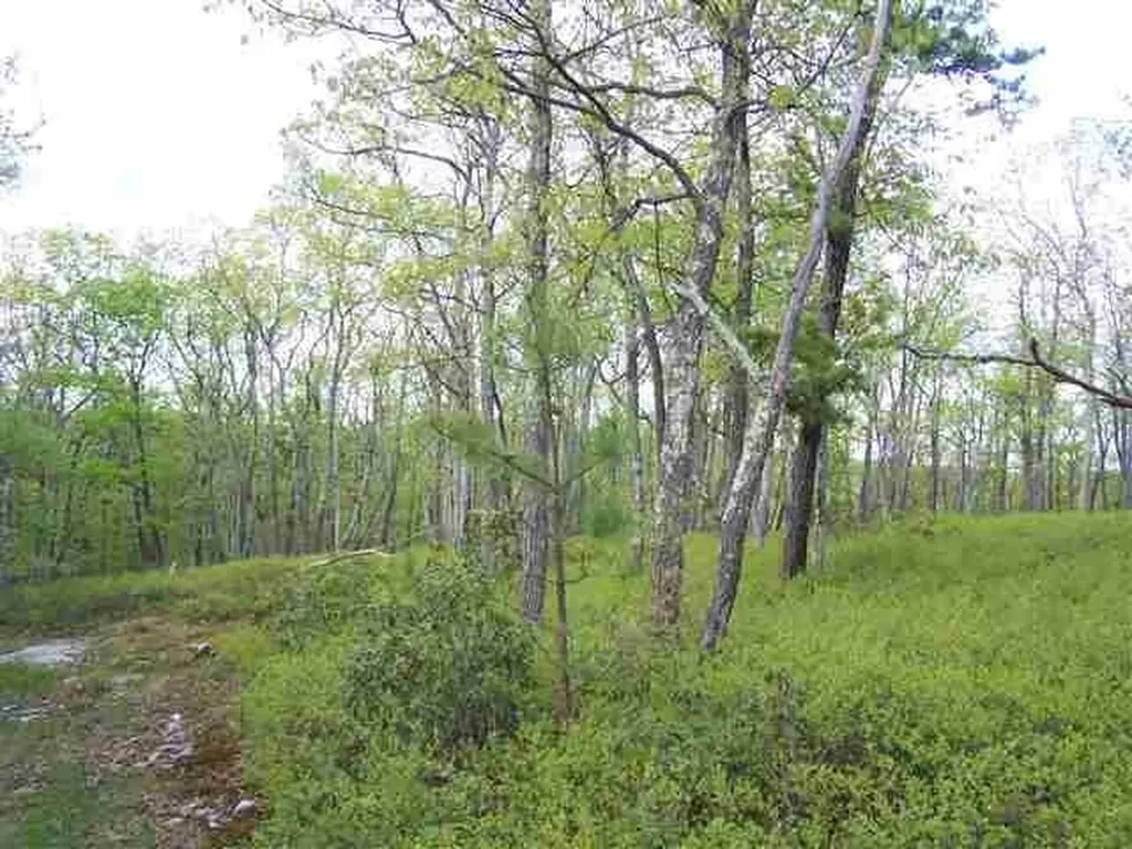 New Road Wurtsboro NY 12790
