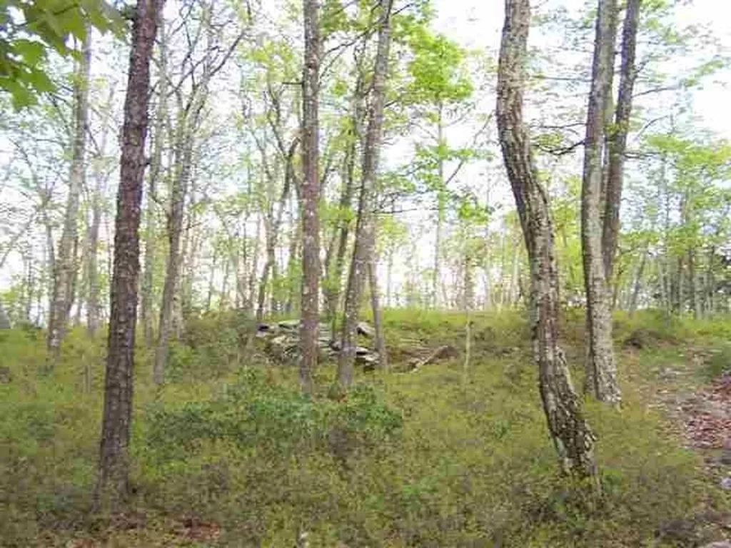 New Road Wurtsboro NY 12790