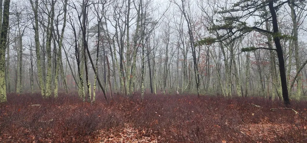 Peewee Trail Wurtsboro NY 12790