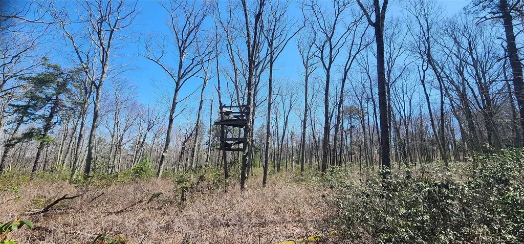 Peewee Trail Wurtsboro NY 12790