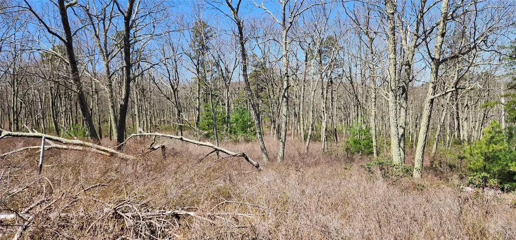 Peewee Trail Wurtsboro NY 12790