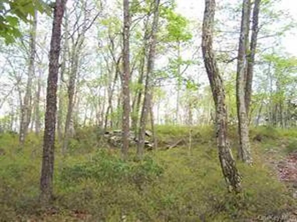 Peewee Trail Wurtsboro NY 12790