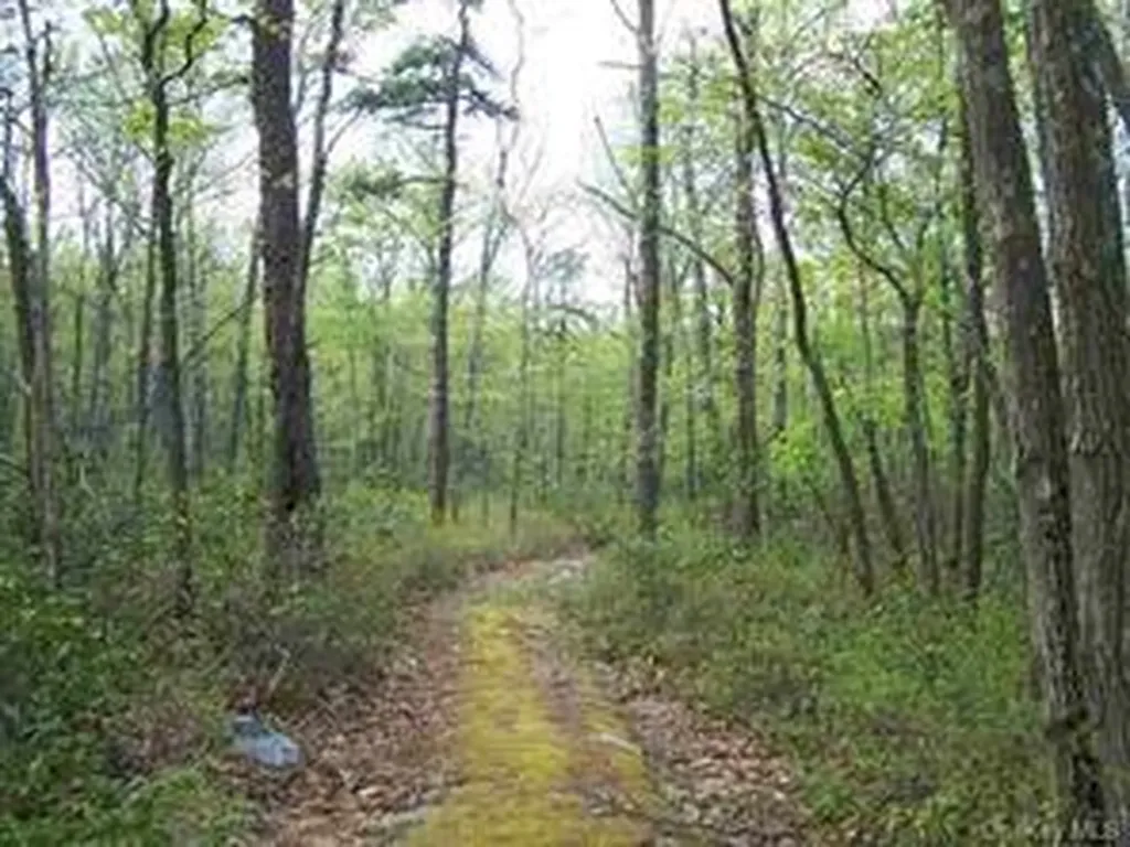 Peewee Trail Wurtsboro NY 12790