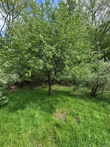 632 New Turnpike Road Cochecton NY 12726