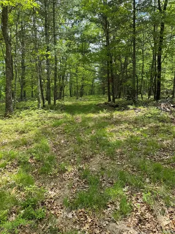 632 New Turnpike Road Cochecton NY 12726