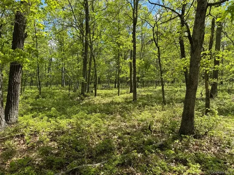 632 New Turnpike Road Cochecton NY 12726