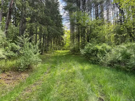 632 New Turnpike Road Cochecton NY 12726
