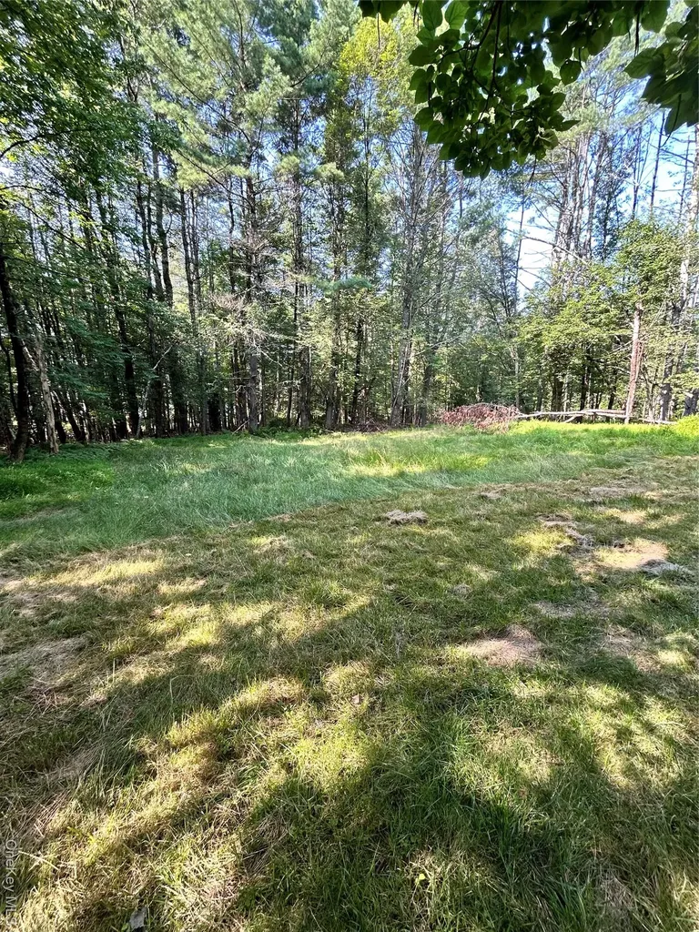 98 Buff Road Cochecton NY 12726