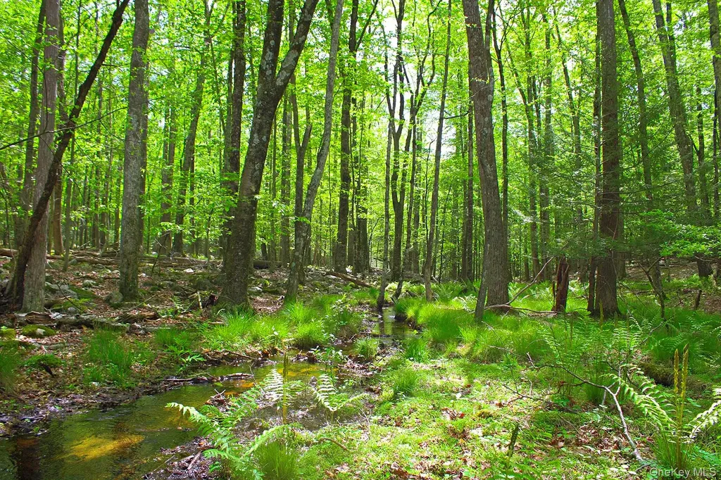 3751 State Route 52 Pine Bush NY 12566