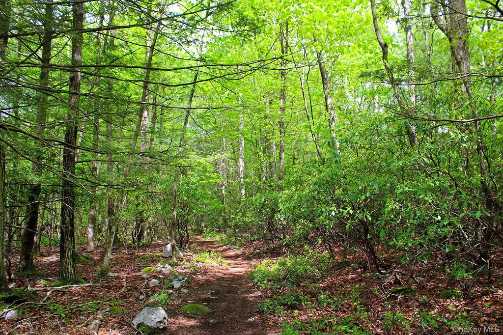 3751 State Route 52 Pine Bush NY 12566