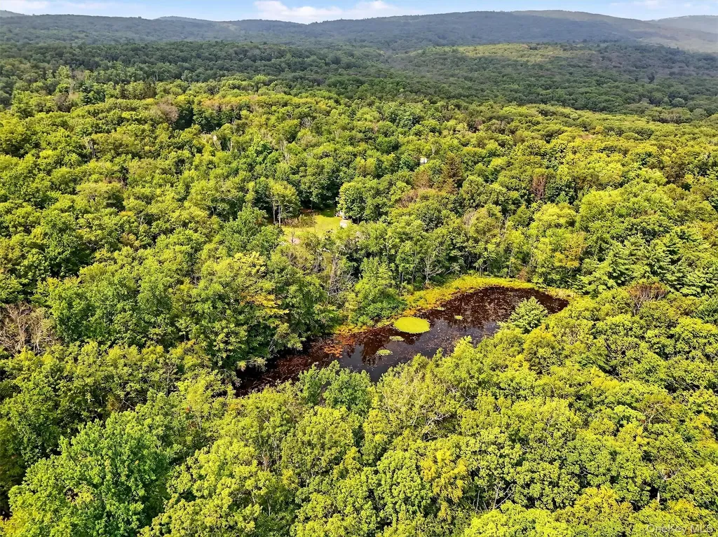 3751 State Route 52 Pine Bush NY 12566