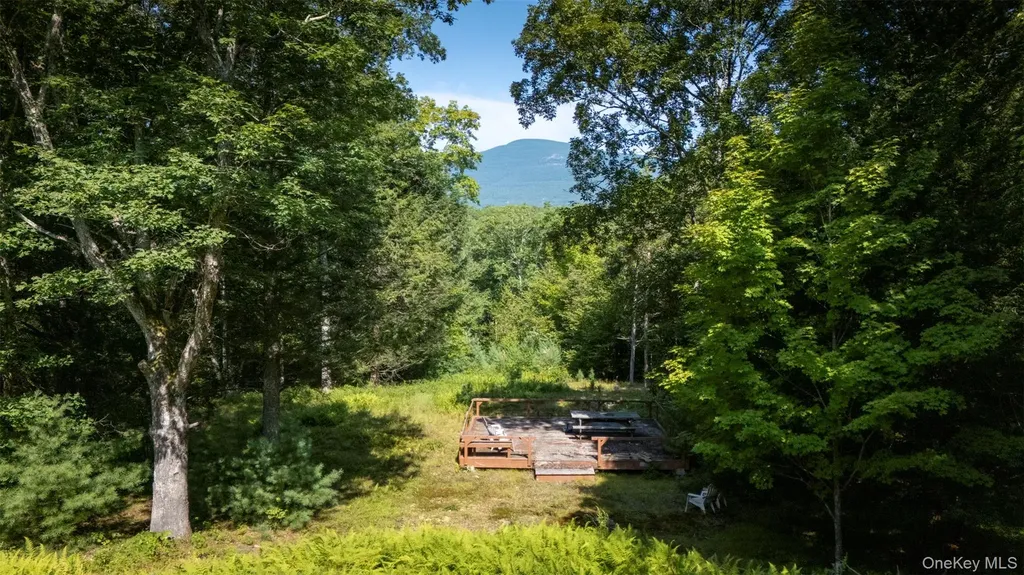 327 Phillips Road Saugerties NY 12477
