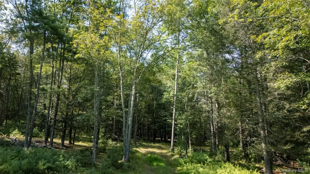 327 Phillips Road Saugerties NY 12477