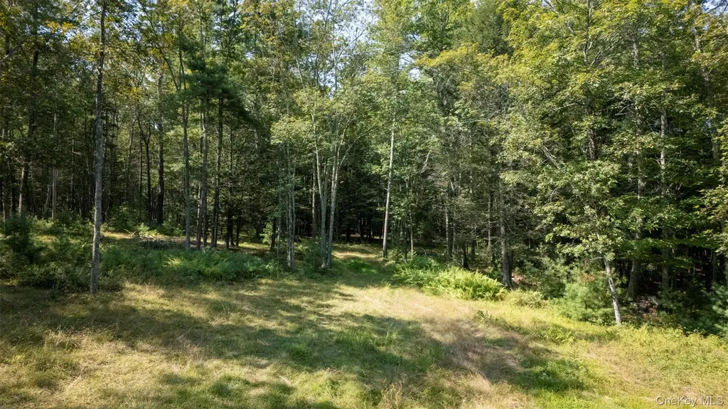 327 Phillips Road Saugerties NY 12477