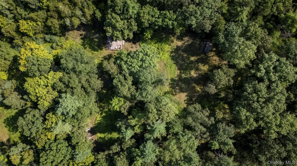327 Phillips Road Saugerties NY 12477