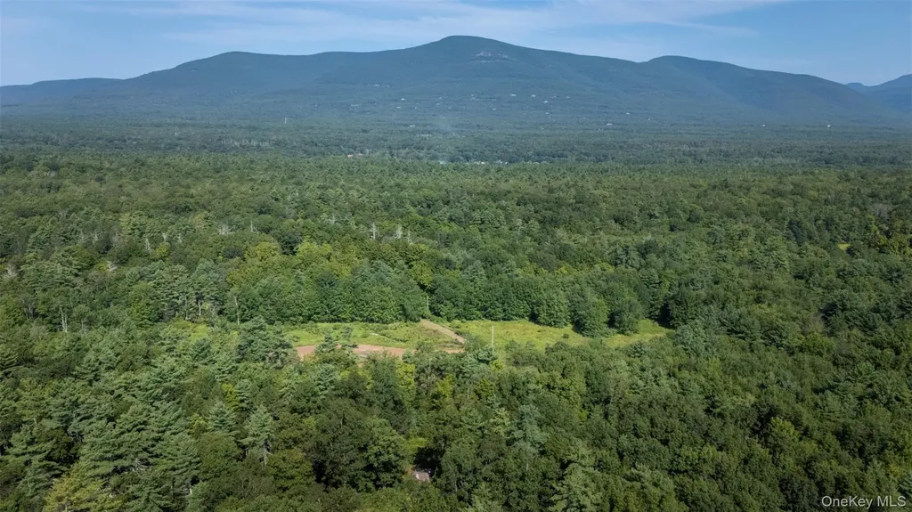 327 Phillips Road Saugerties NY 12477