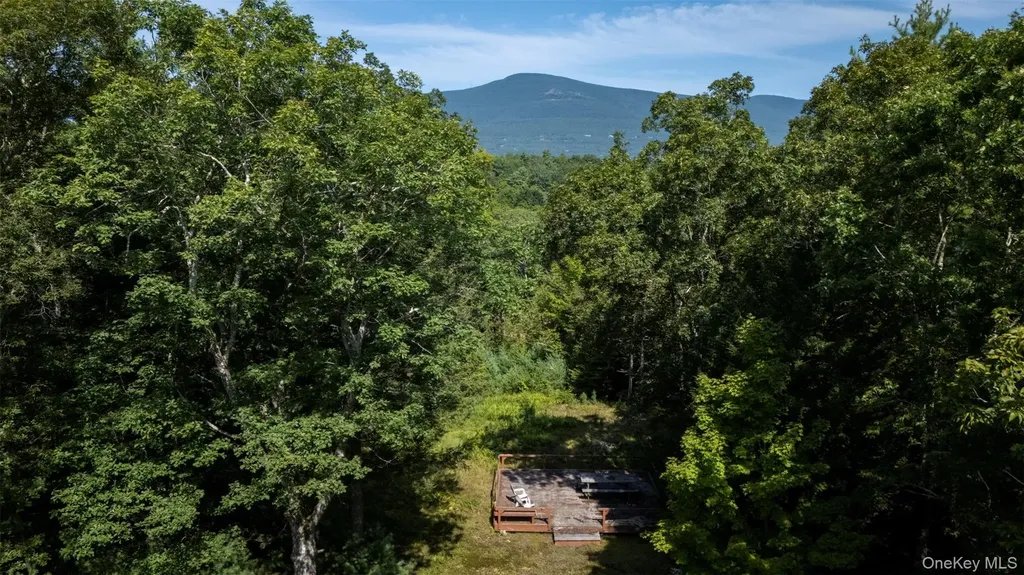 327 Phillips Road Saugerties NY 12477