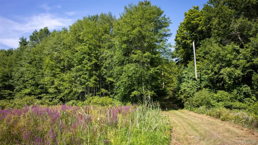 327 Phillips Road Saugerties NY 12477