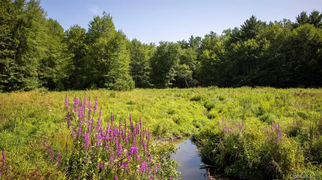 327 Phillips Road Saugerties NY 12477