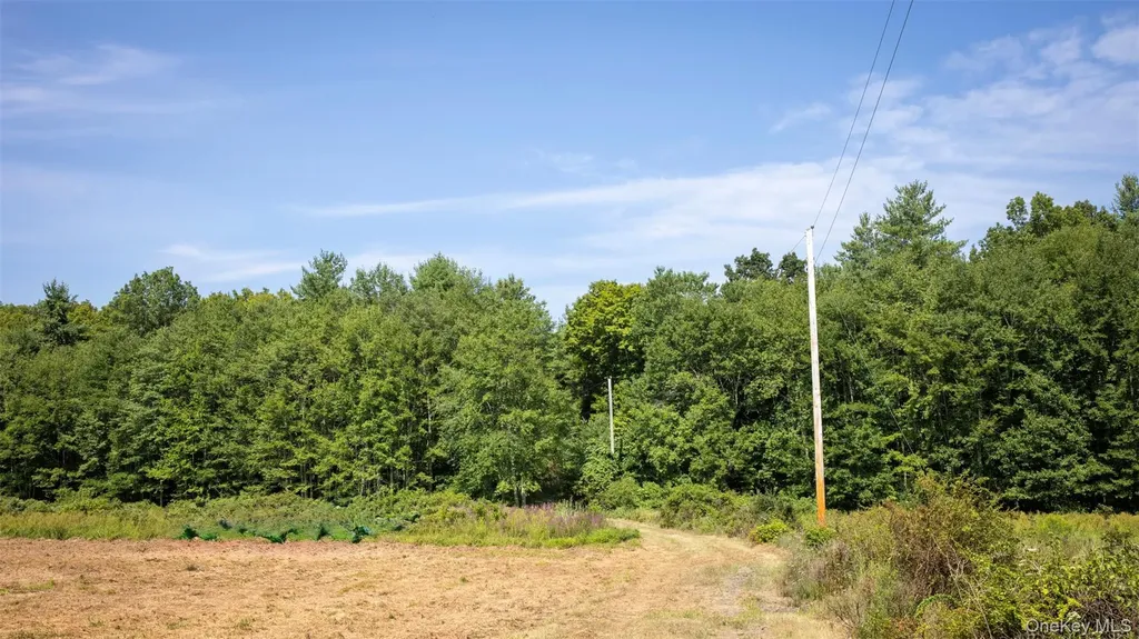 327 Phillips Road Saugerties NY 12477