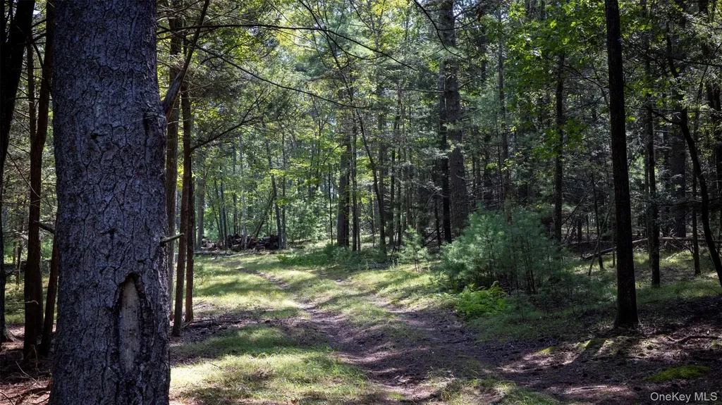 327 Phillips Road Saugerties NY 12477