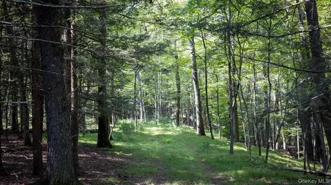 327 Phillips Road Saugerties NY 12477