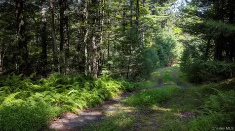327 Phillips Road Saugerties NY 12477