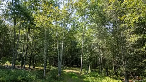327 Phillips Road Saugerties NY 12477
