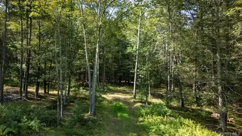 327 Phillips Road Saugerties NY 12477