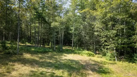 327 Phillips Road Saugerties NY 12477