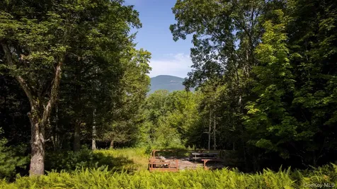 327 Phillips Road Saugerties NY 12477