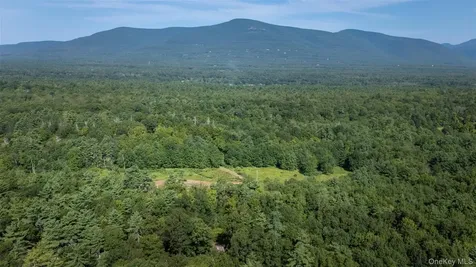 327 Phillips Road Saugerties NY 12477