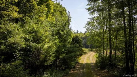 327 Phillips Road Saugerties NY 12477