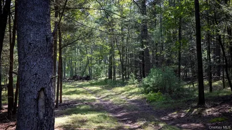 327 Phillips Road Saugerties NY 12477