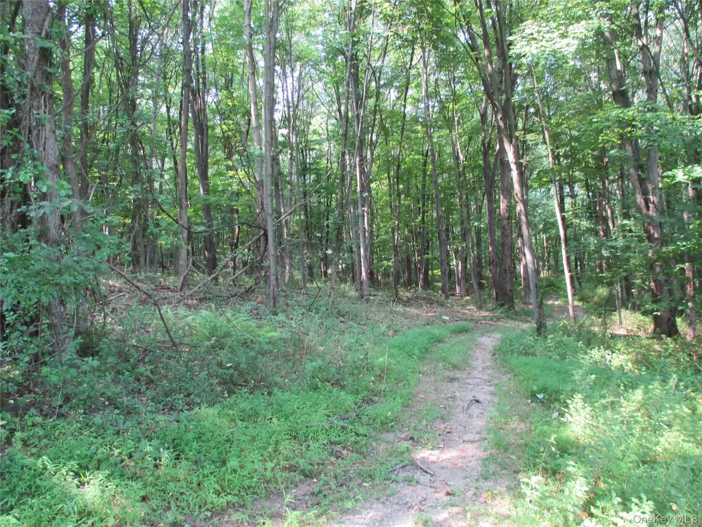 Brady Road Warwick NY 10990