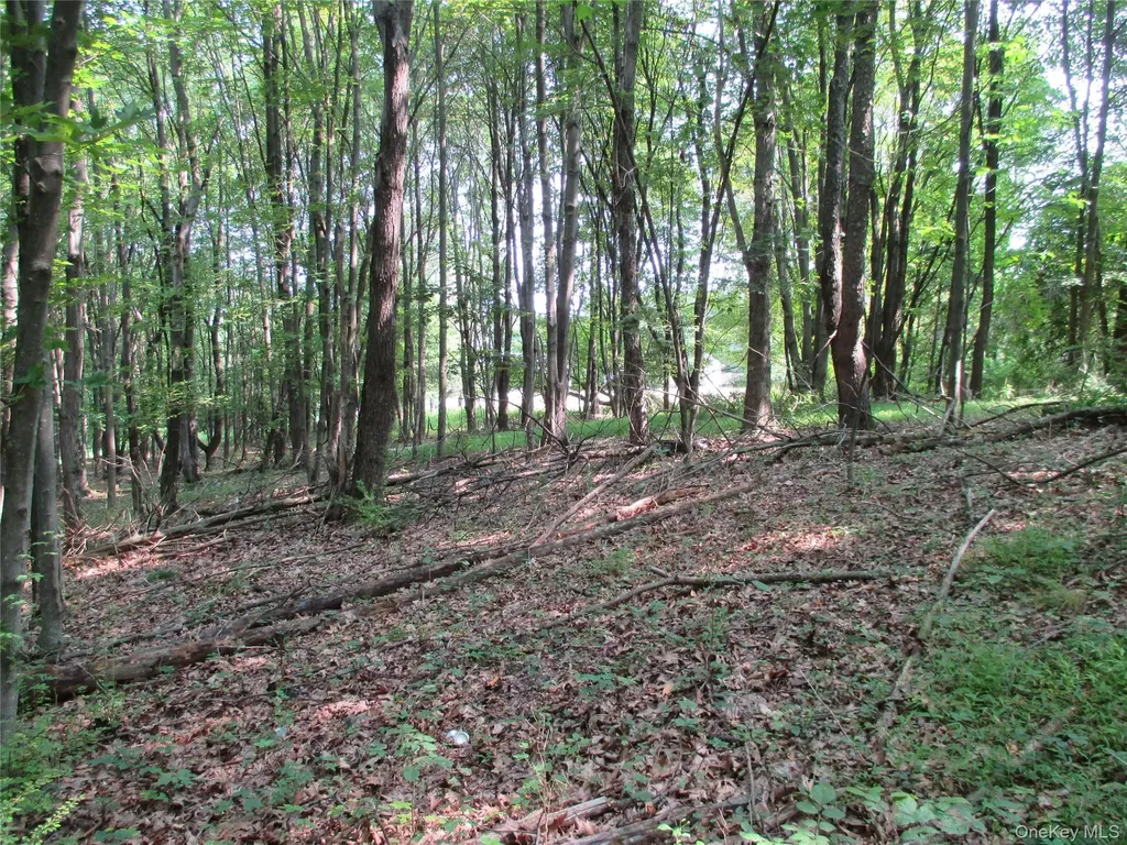 Brady Road Warwick NY 10990