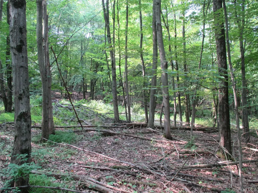Brady Road Warwick NY 10990