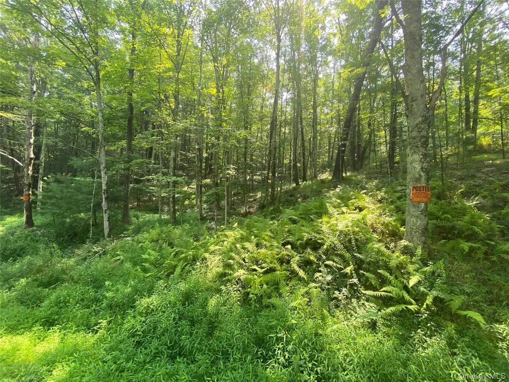 South Road Wurtsboro NY 12790