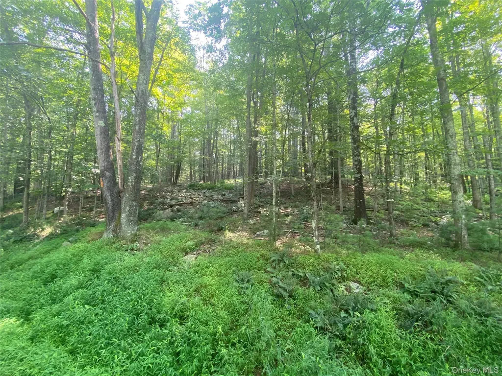 South Road Wurtsboro NY 12790