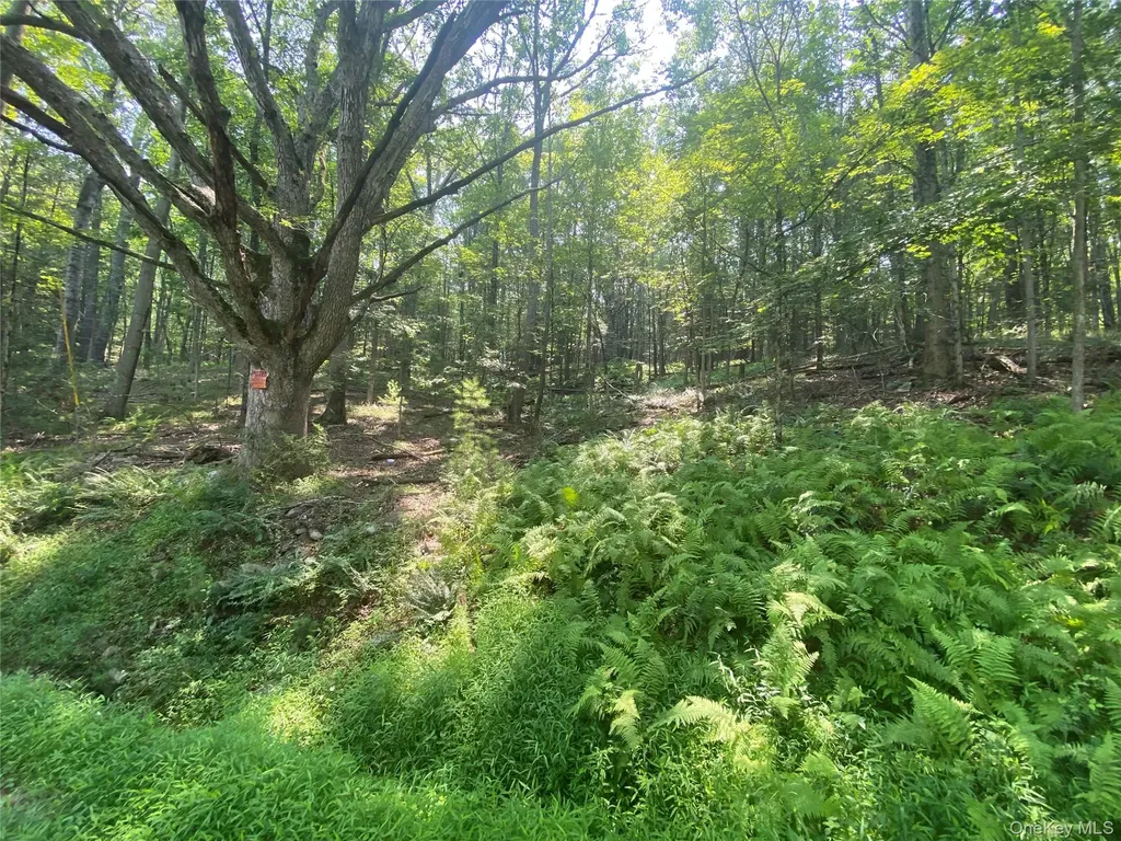 South Road Wurtsboro NY 12790
