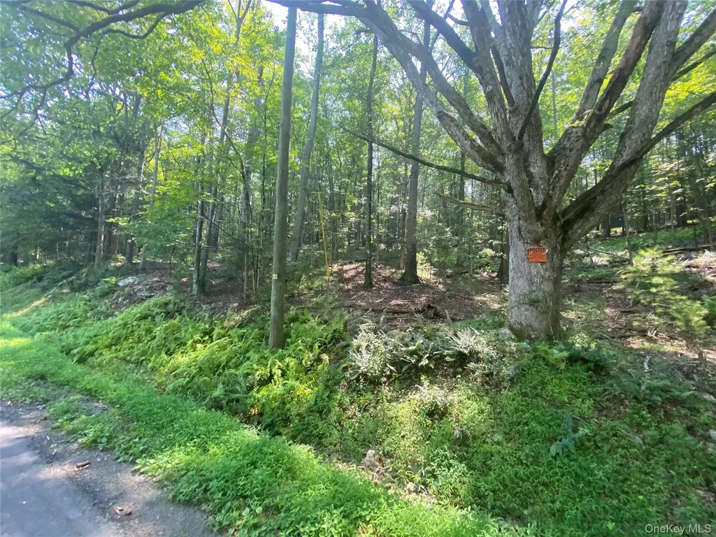 South Road Wurtsboro NY 12790