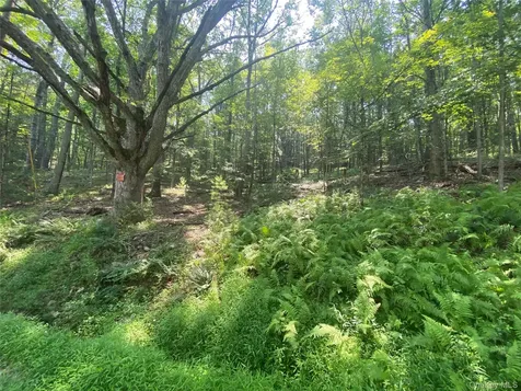 South Road Wurtsboro NY 12790